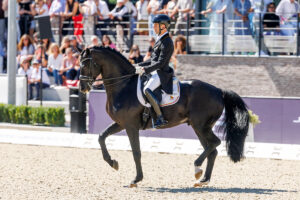 Zonik Plus – möge der Fluch des schwarzen Hengstes sich nicht wiederholen!