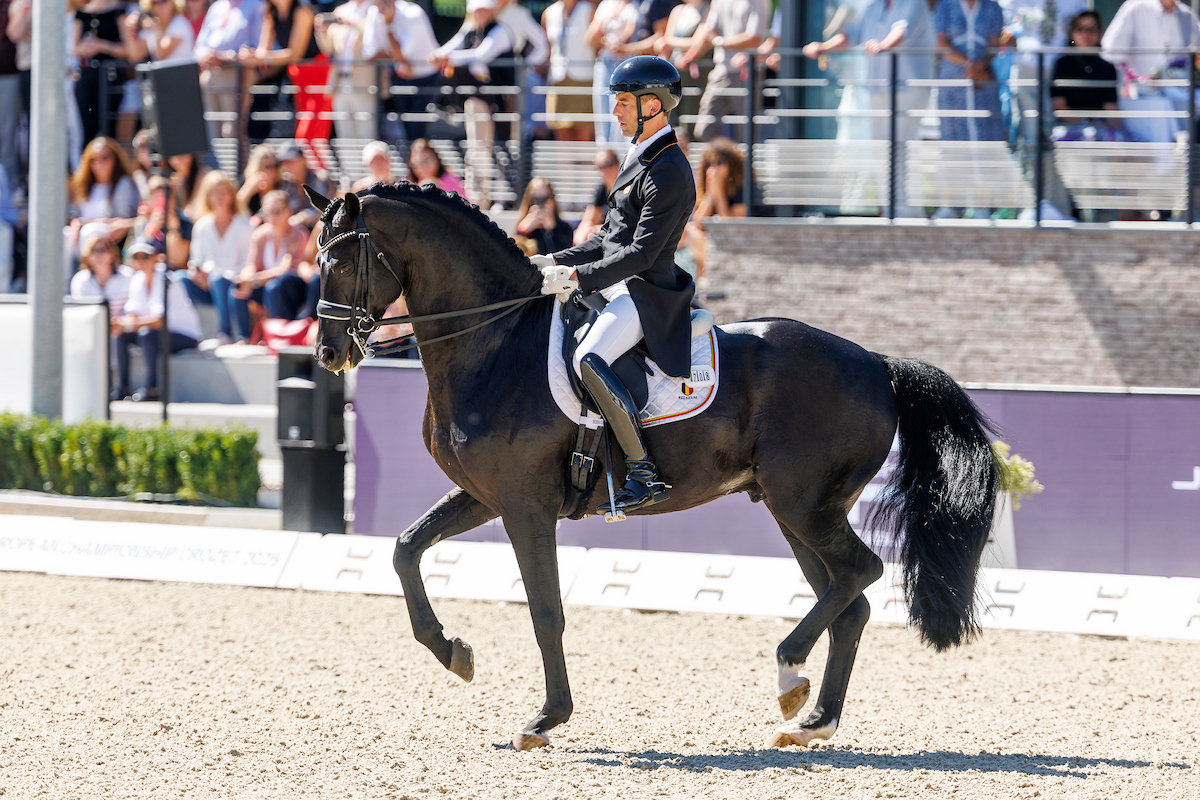Zonik Plus – möge der Fluch des schwarzen Hengstes sich nicht wiederholen!