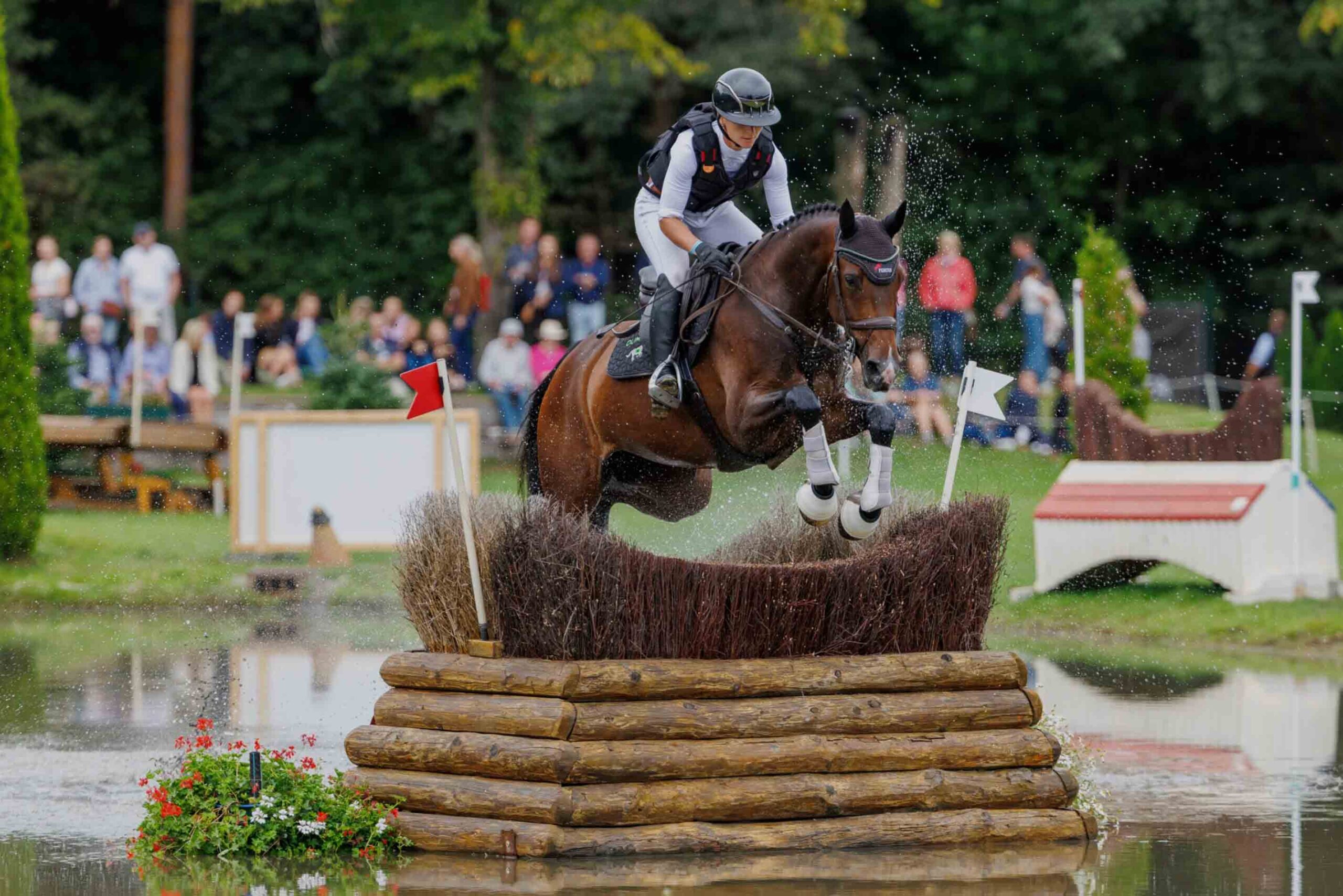 WM junge Vielseitigkeitspferde 2025 – die deutschen Teilnehmer