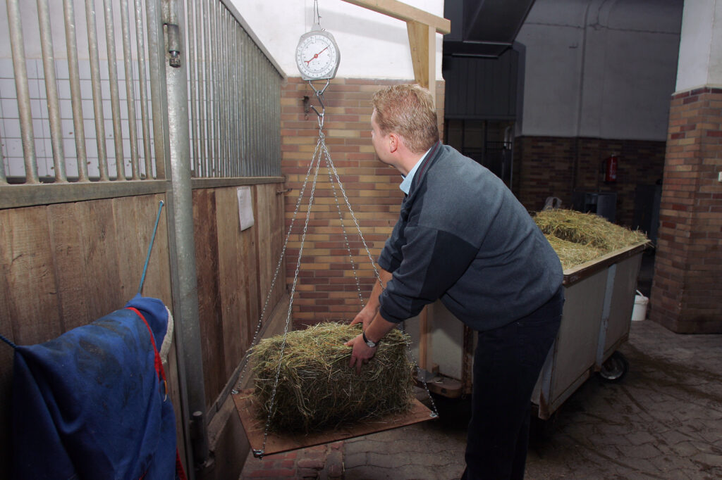 Ausreichend Heu ist wichtig. Aber viel hilft viel gilt nicht für jedes Pferd!© www.sportfotos-lafrentz.de/Stefan Lafrentz