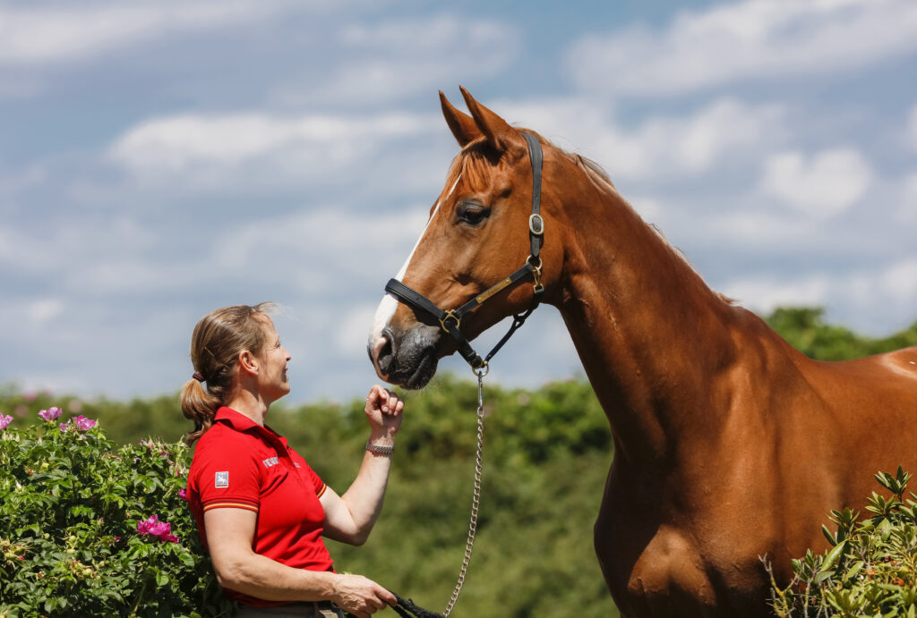Eine Dame von Kopf bis Schweif: Isabell Werths Bella Rose. Foto: Toffi-images.de