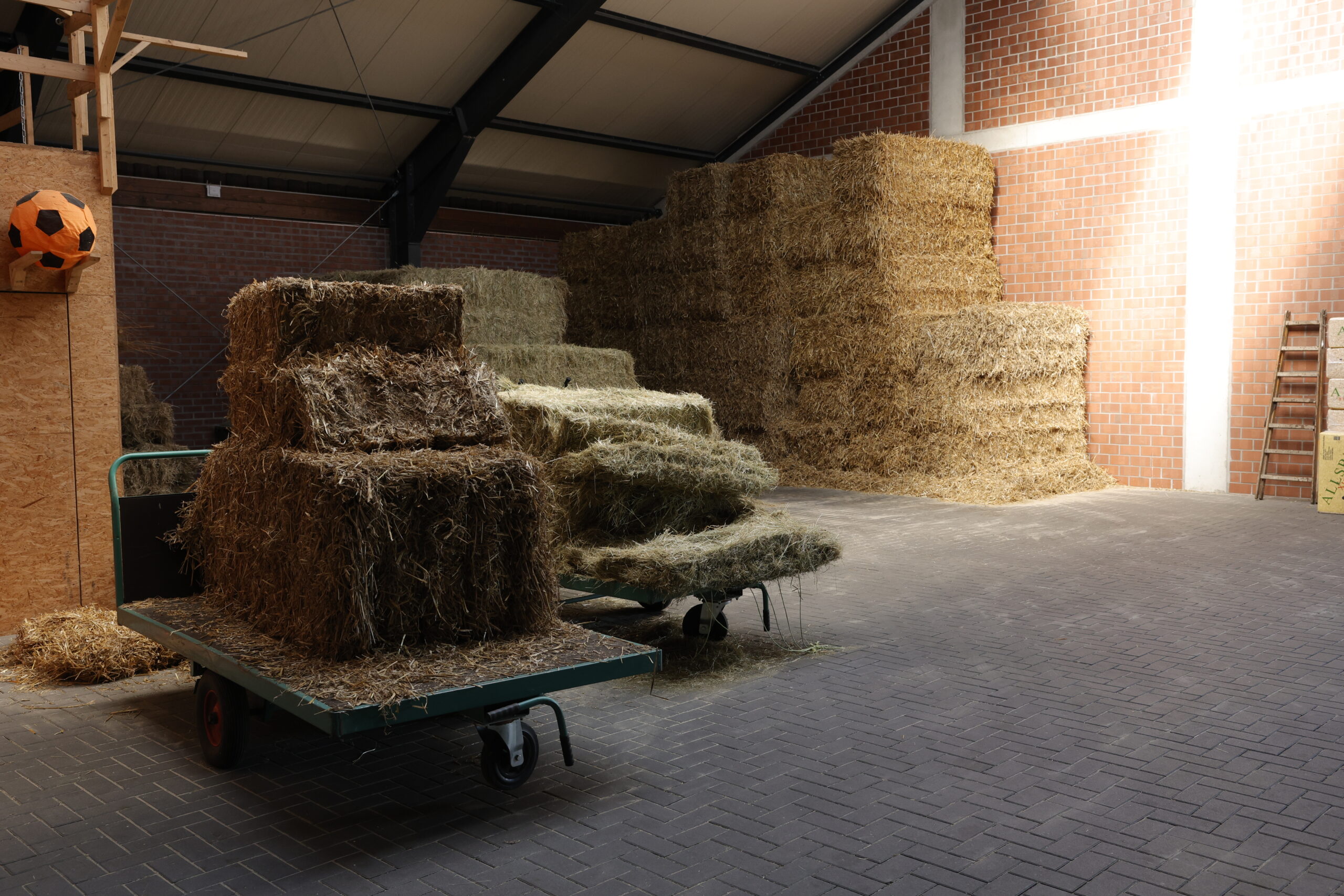 Heu richtig lagern: Schimmel vermeiden, Heuqualität erhalten