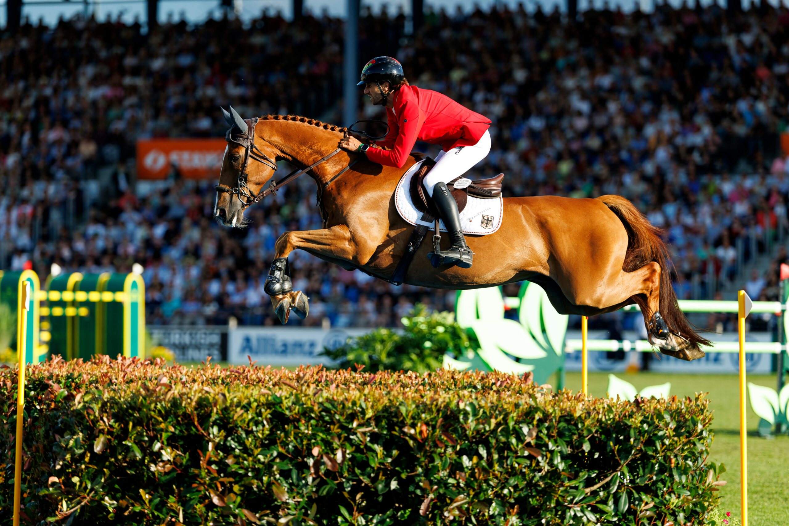 Cepano Baloubet nun unter Jeanne Sadran