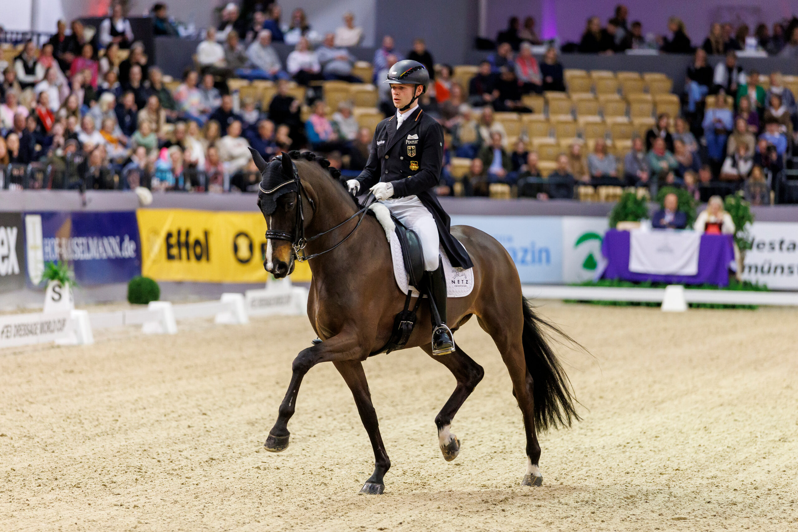Wahlfreiheit Trense/Kandare: tolle Möglichkeit oder der Anfang vom Ende?