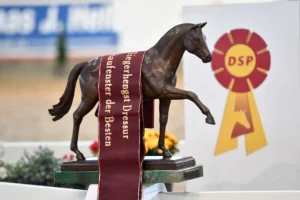 Schaufenster der Besten