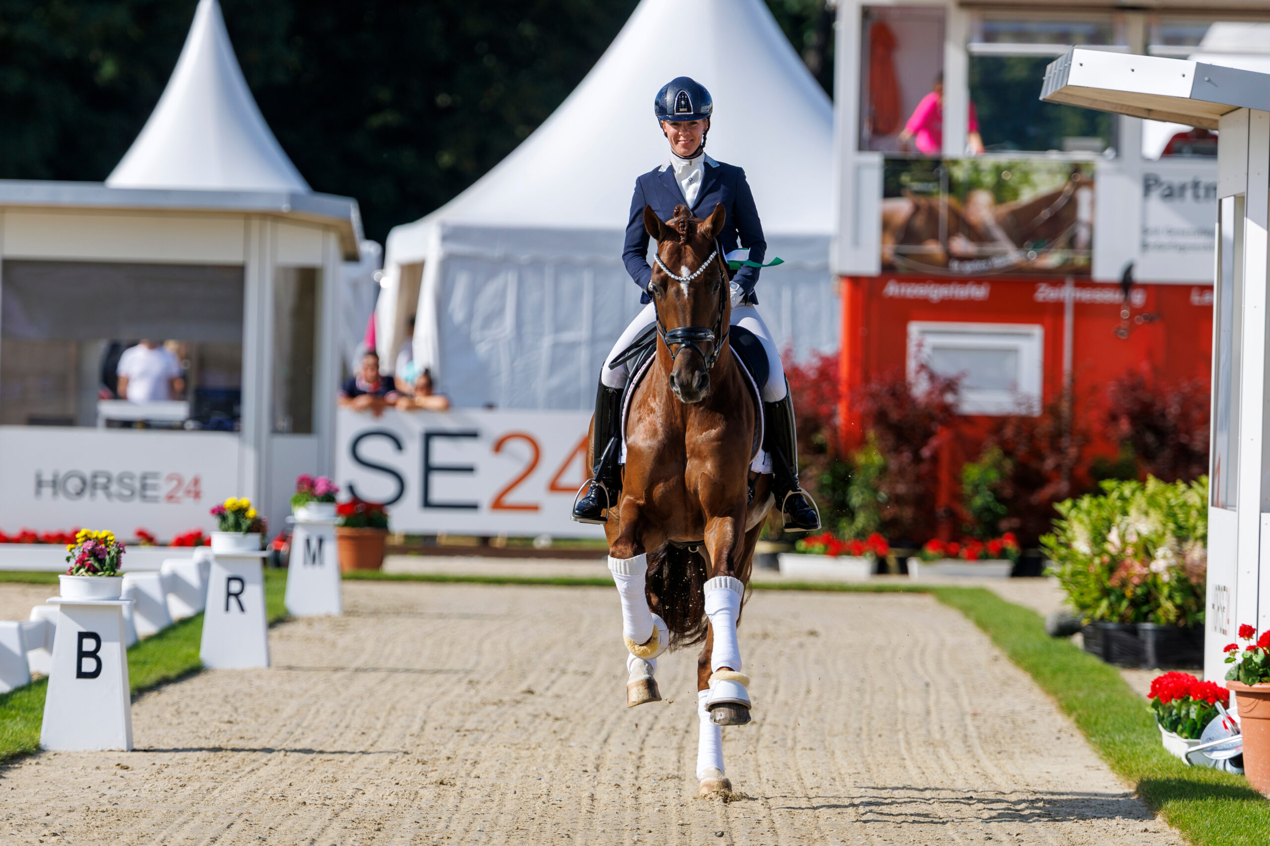 2025 vertrat So Special unter Jessica Lynn Thomas die deutschen Farben bei der WM der fünfjährigen Dressurpferde. Foto: sportfotos-lafrentz.de