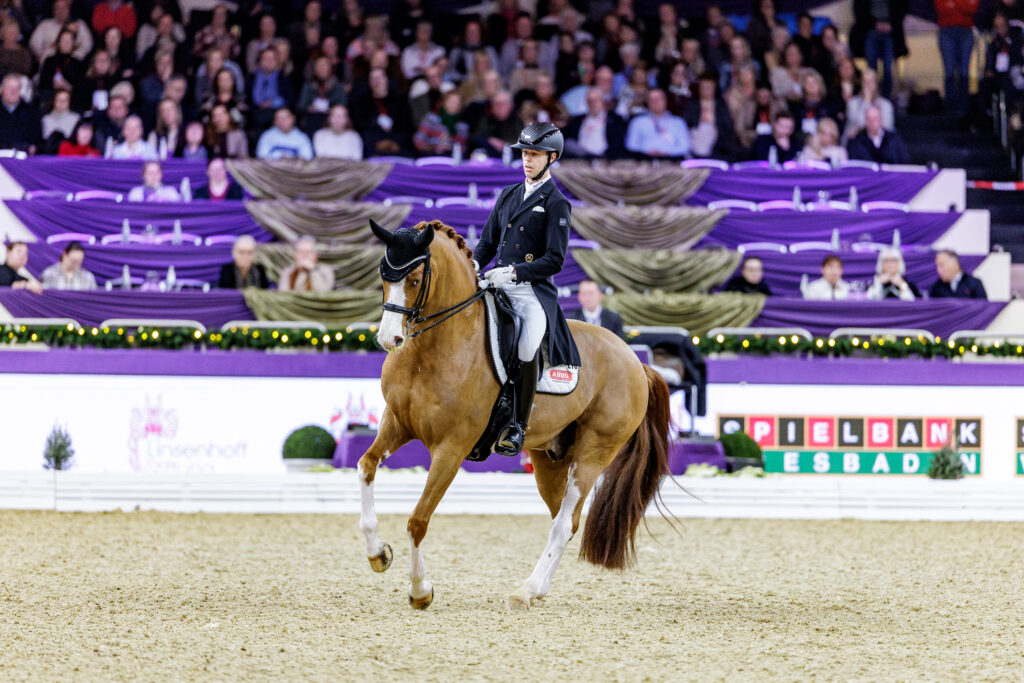 Not a horse that kicks the stars out of the sky, but one that enjoys his job and impresses with his real training: Benjamin Werndl's Quick Decision. Photo: sportfotos-lafrentz.de  