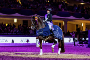 Viva Gold – das geborene Dressurpferd