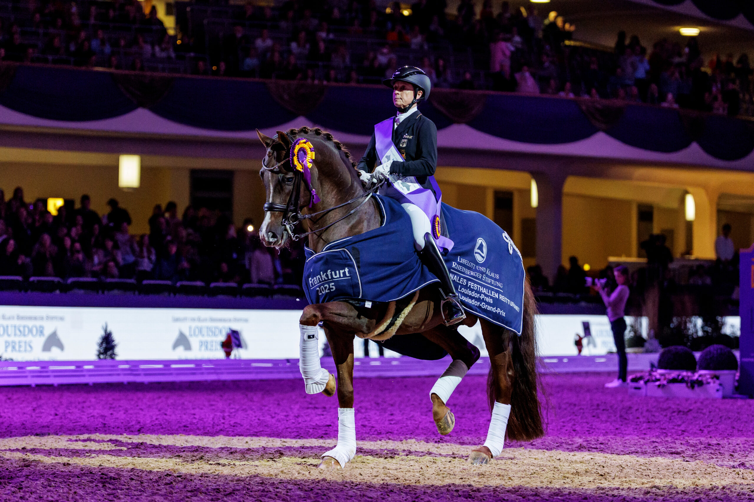 Viva Gold – das geborene Dressurpferd