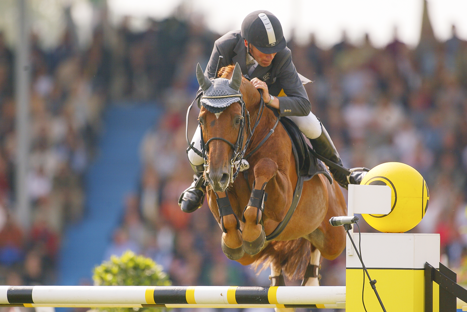 Goldfever – Springsportlegende verstorben