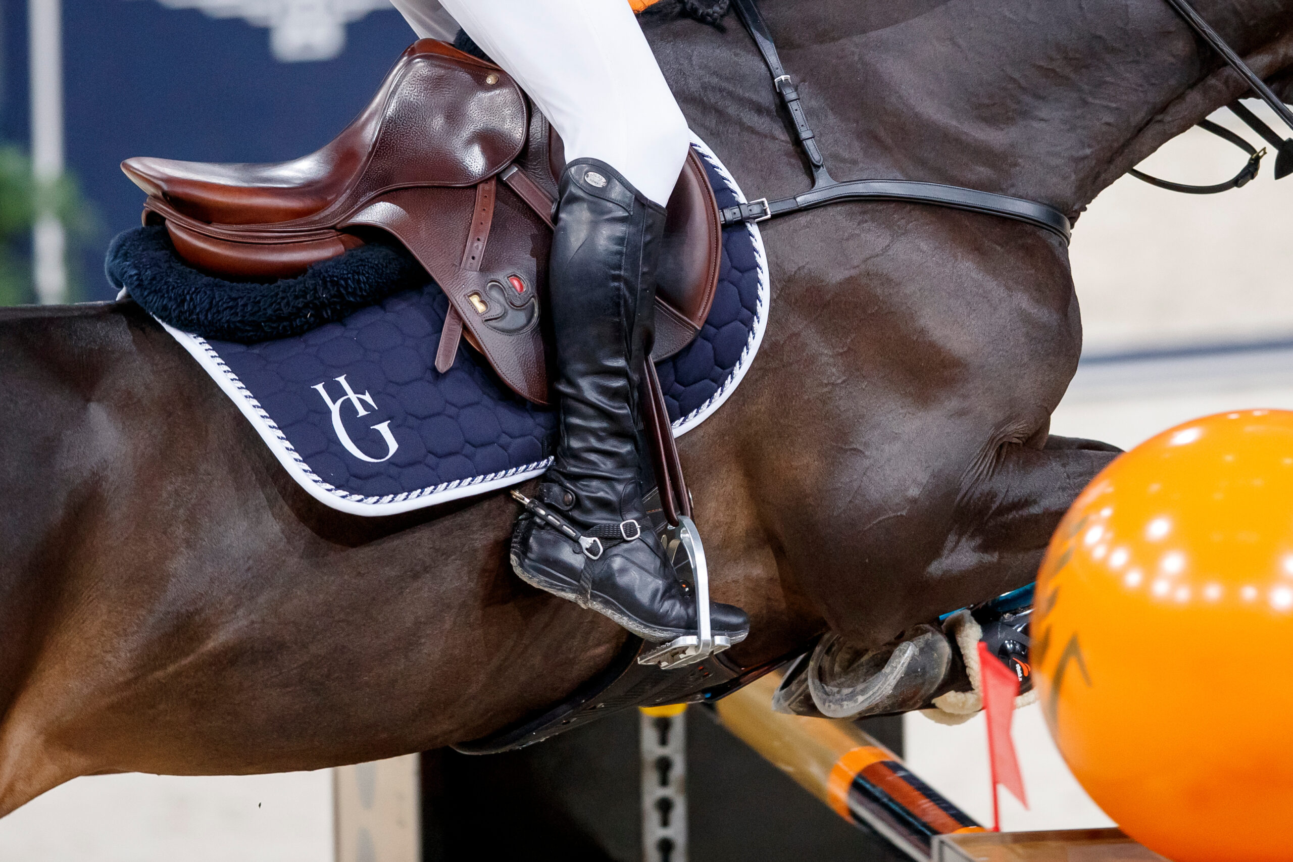 Blutregel im Springsport: Elf weitere Fälle, zwei Sperren, (kein) Kommentar der FEI