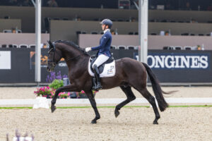Olé! Spanien als Ausrichter der WM junge Dressurpferde von 2028 bis 2030?