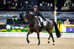 Diallo von Jessica von Bredow-Werndl plötzlich verstorben