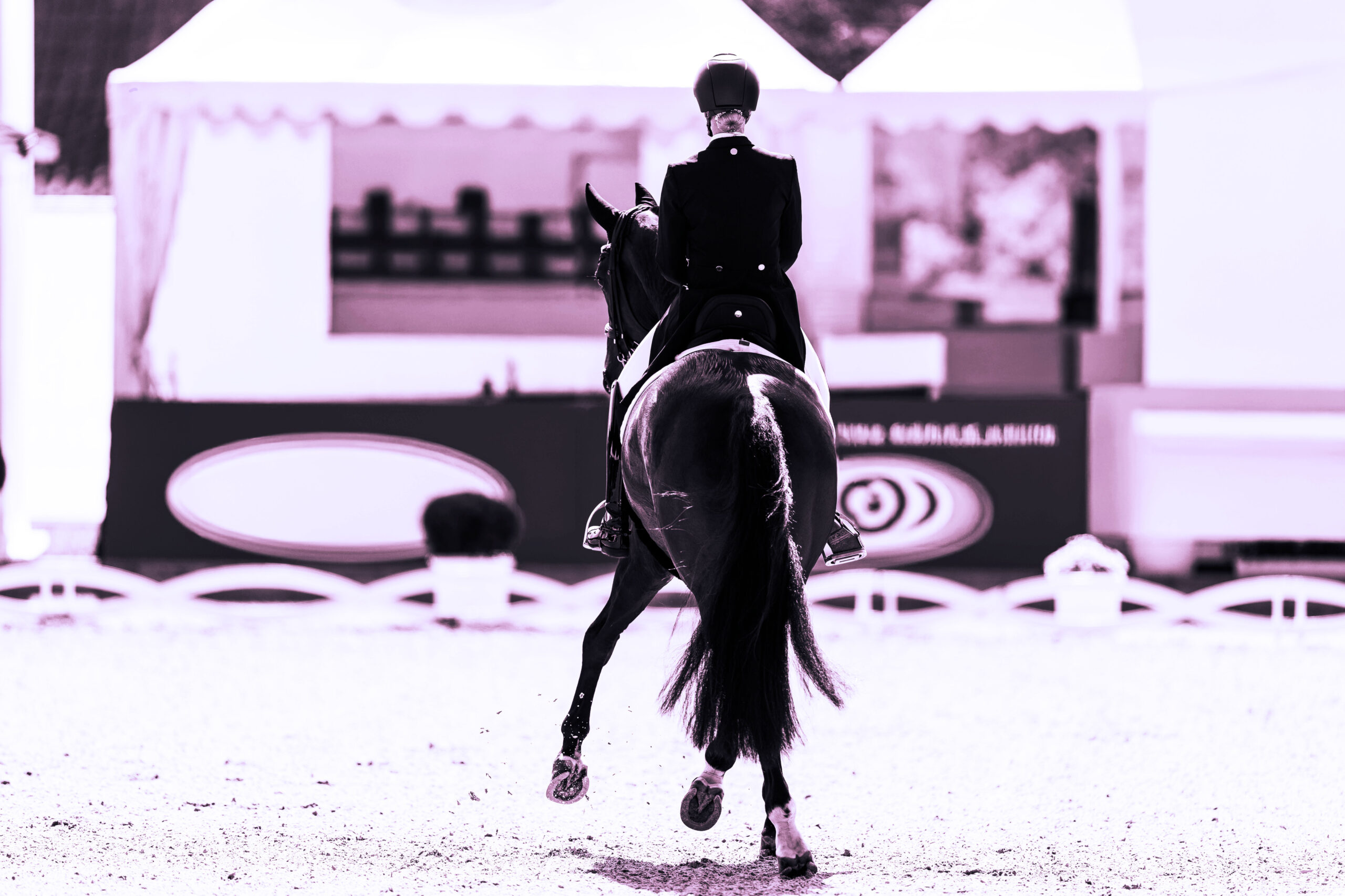 Bornavirus beim Pferd: Warum die Erkrankung oft tödlich ist