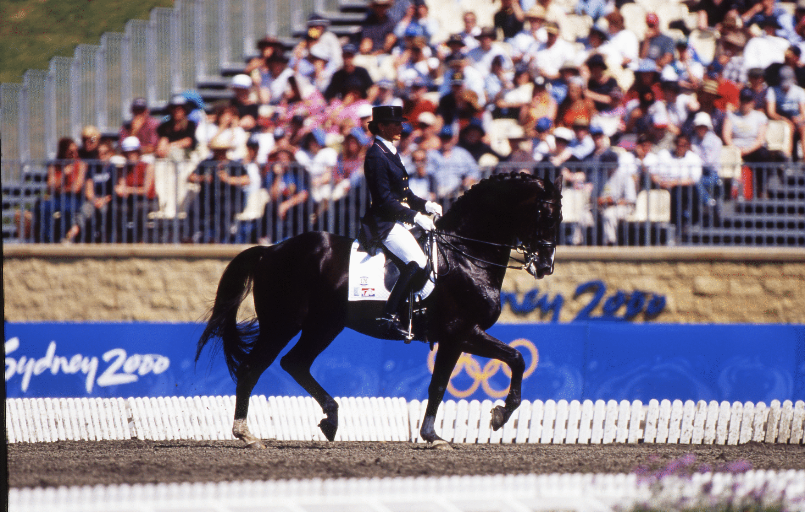 DSP-Hengsttage: Ferro und Cor de la Bryère prägen das Lot