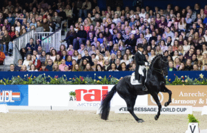 Glamourdale wins duel of the strong black horses