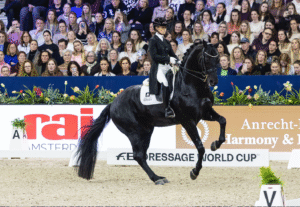 Glamourdale gewinnt Duell der starken schwarzen Pferde