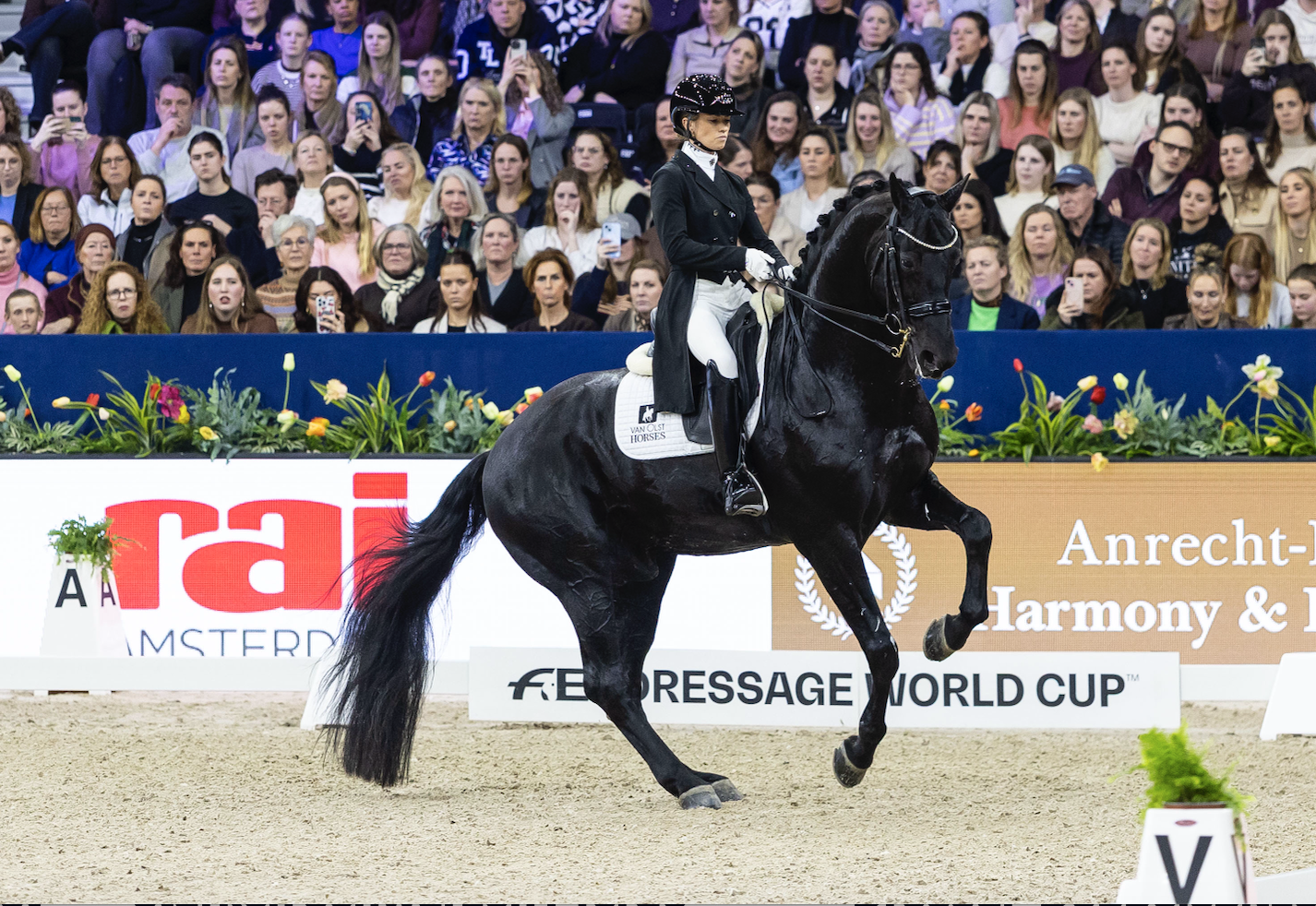 Glamourdale gewinnt Duell der starken schwarzen Pferde