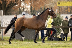 Bestnoten für Valerian und Visconti