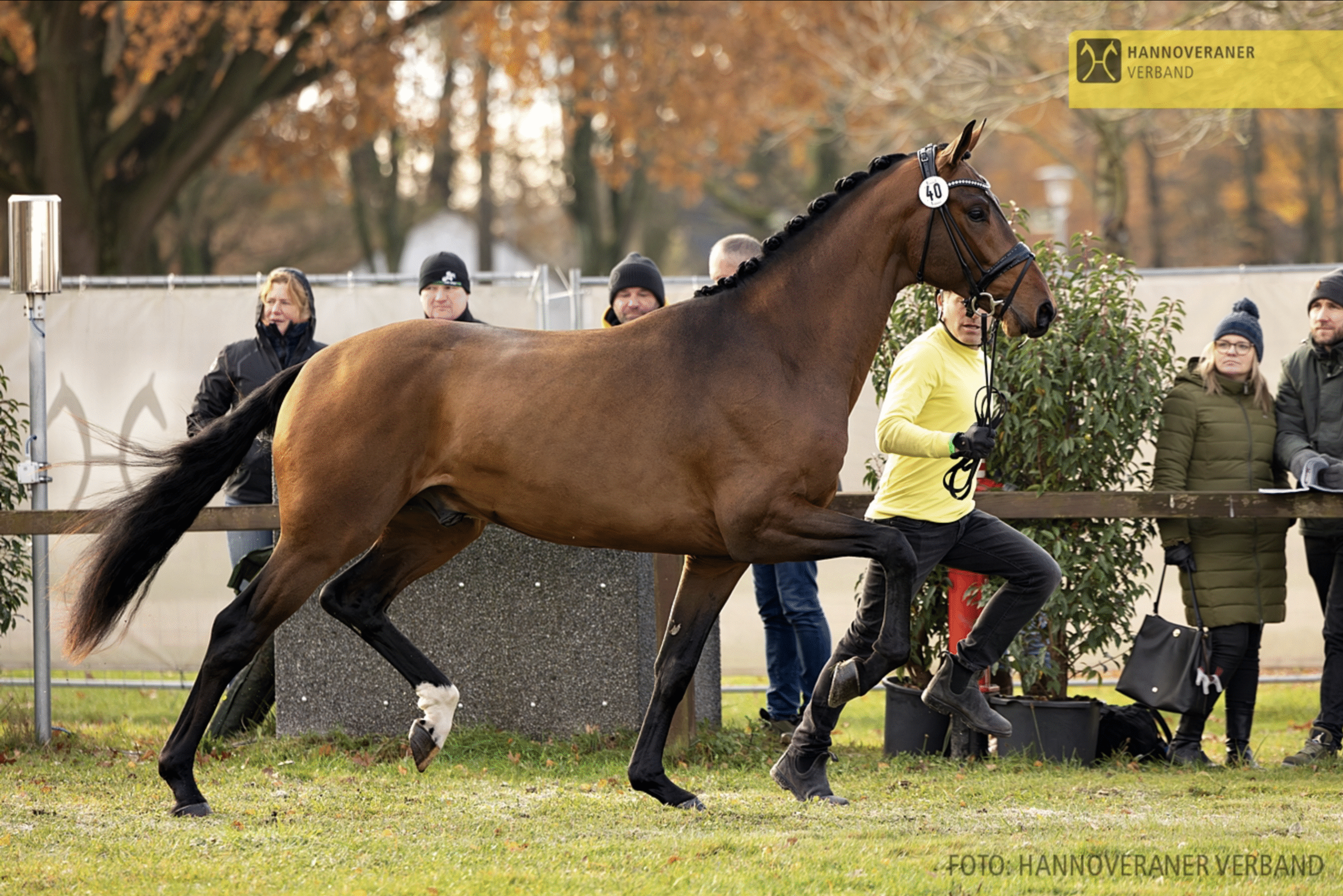 Bestnoten für Valerian und Visconti