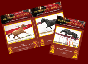 DSP Hengsttage 2026 mit Dressur-Doppelspitze und „unglaublichem“ Springsieger