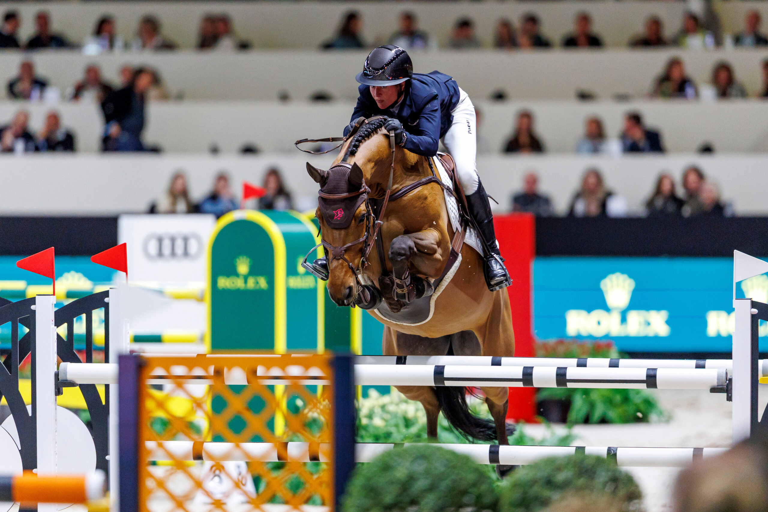 Erste gute Nachrichten von Katrin Eckermanns Casa Blue PS