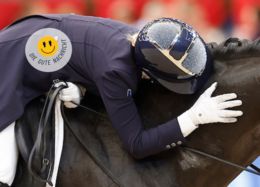 Braaav, mein Dicker – Stimmhilfe in UK erlaubt!