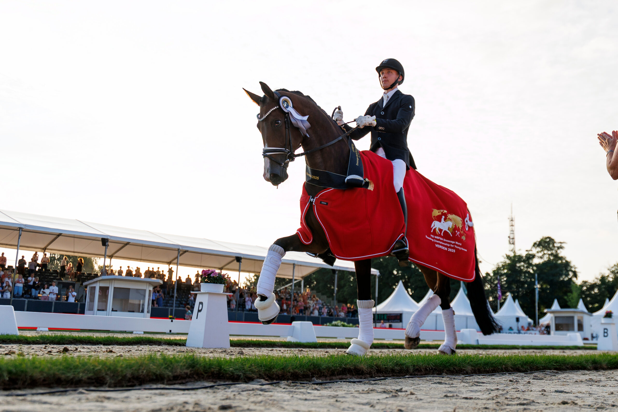 „Trakehner-Reiter“ Anders Sjöbeck Hoeck gesperrt – auch in Deutschland