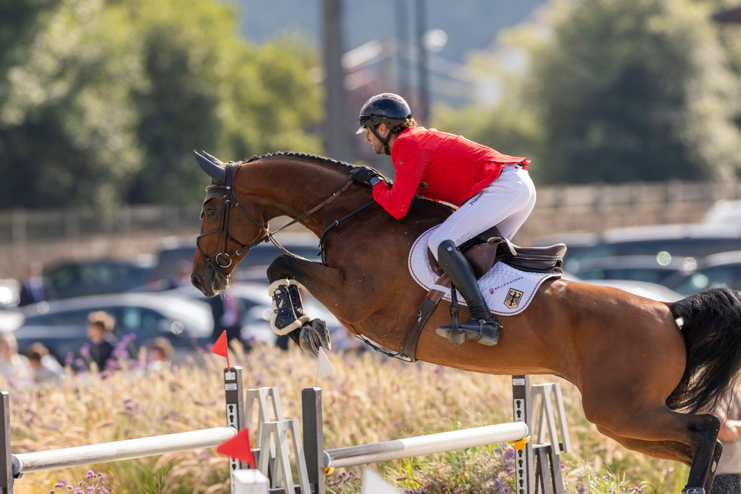 FEI: Reiten auf blankem Schlaufzügel nicht erlaubt