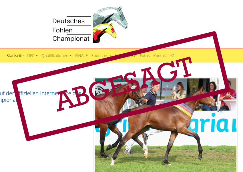 Canceled: No German Foal Championships in 2026