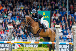 Von Aufsteigern und Absteigern