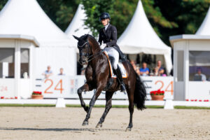 WM-Silbergewinner Most Wanted Nero von Bellin 2026 im Deckeinsatz