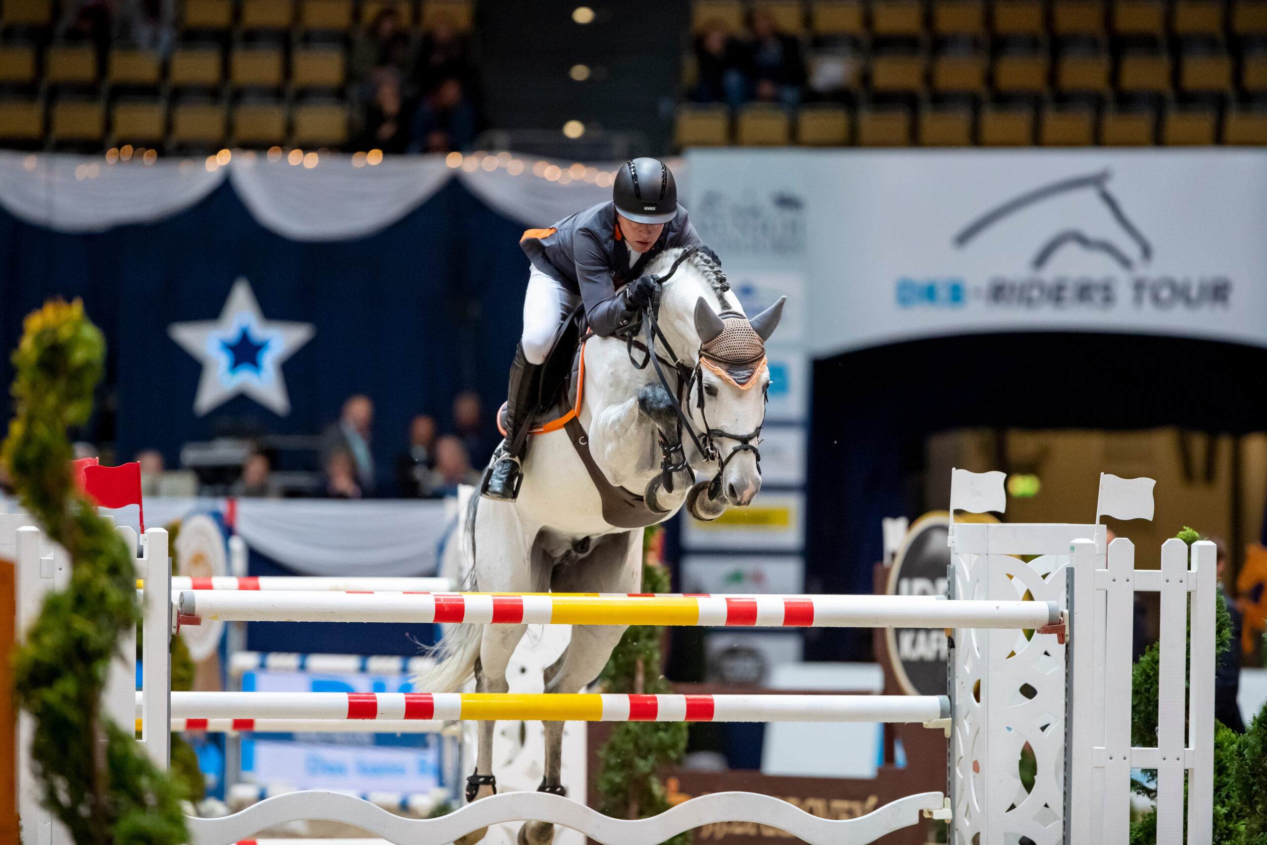 Ein Crescendo für Chacoon Blue bei der KWPN-Körung 2026