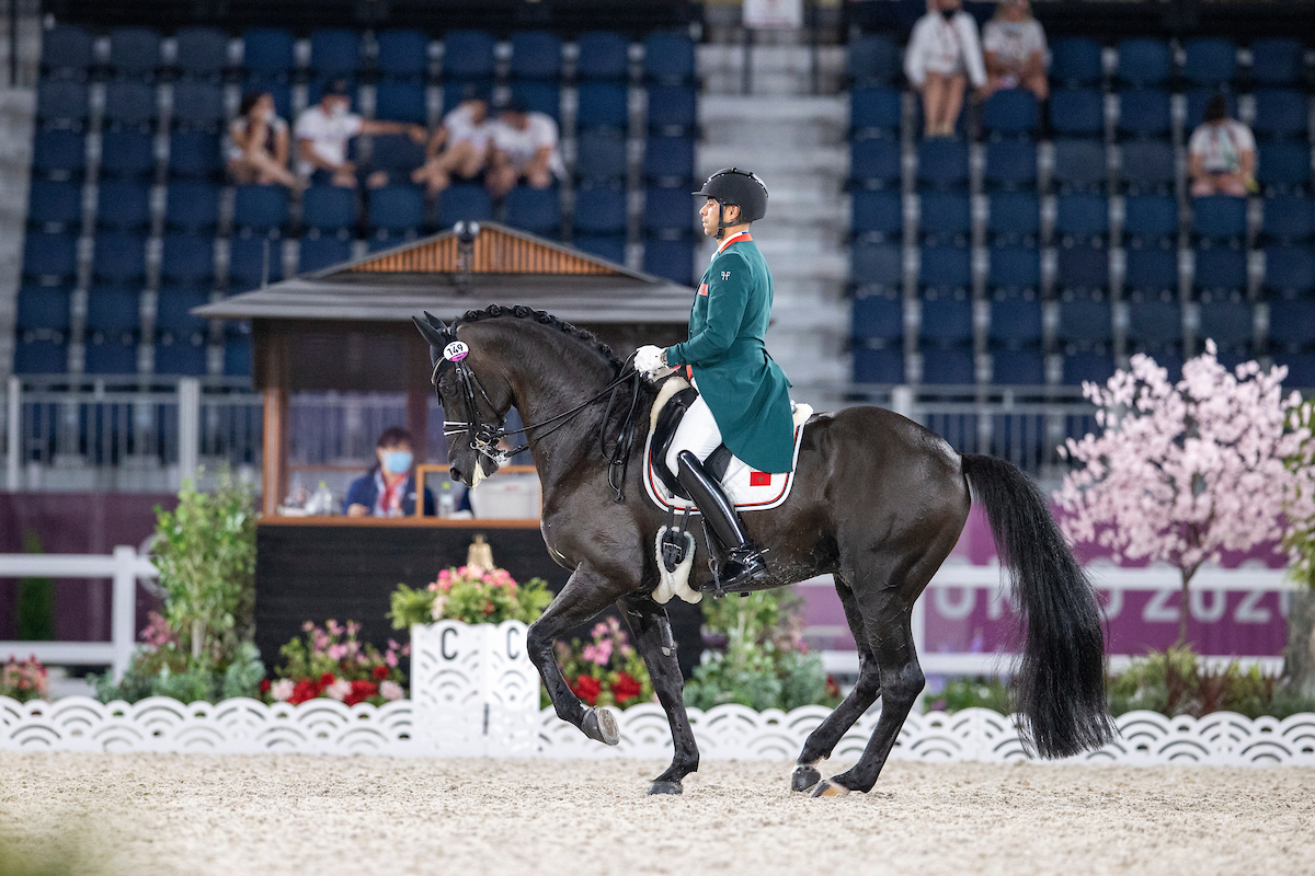 Promi-Väter: Ein „Keur-Quartett“ bei der KWPN Körung