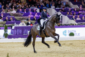 Hengstvorführung von Gestüt FAMOS verschoben