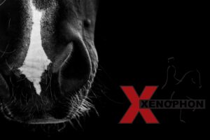 Why classic riding culture will never go out of fashion