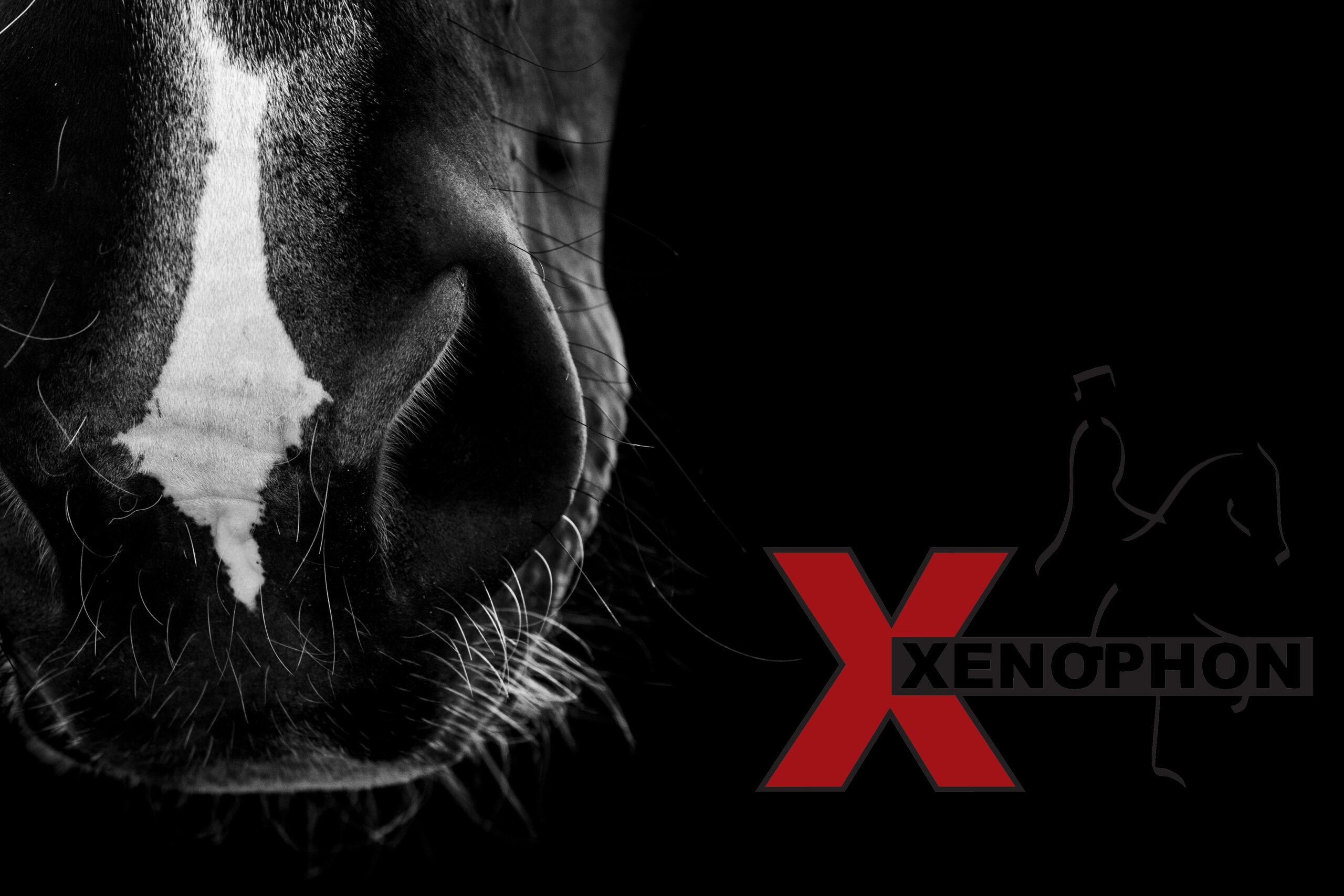 20 Jahre Xenophon – wo stehen wir?