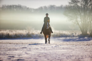 Feeding and care during the coat change