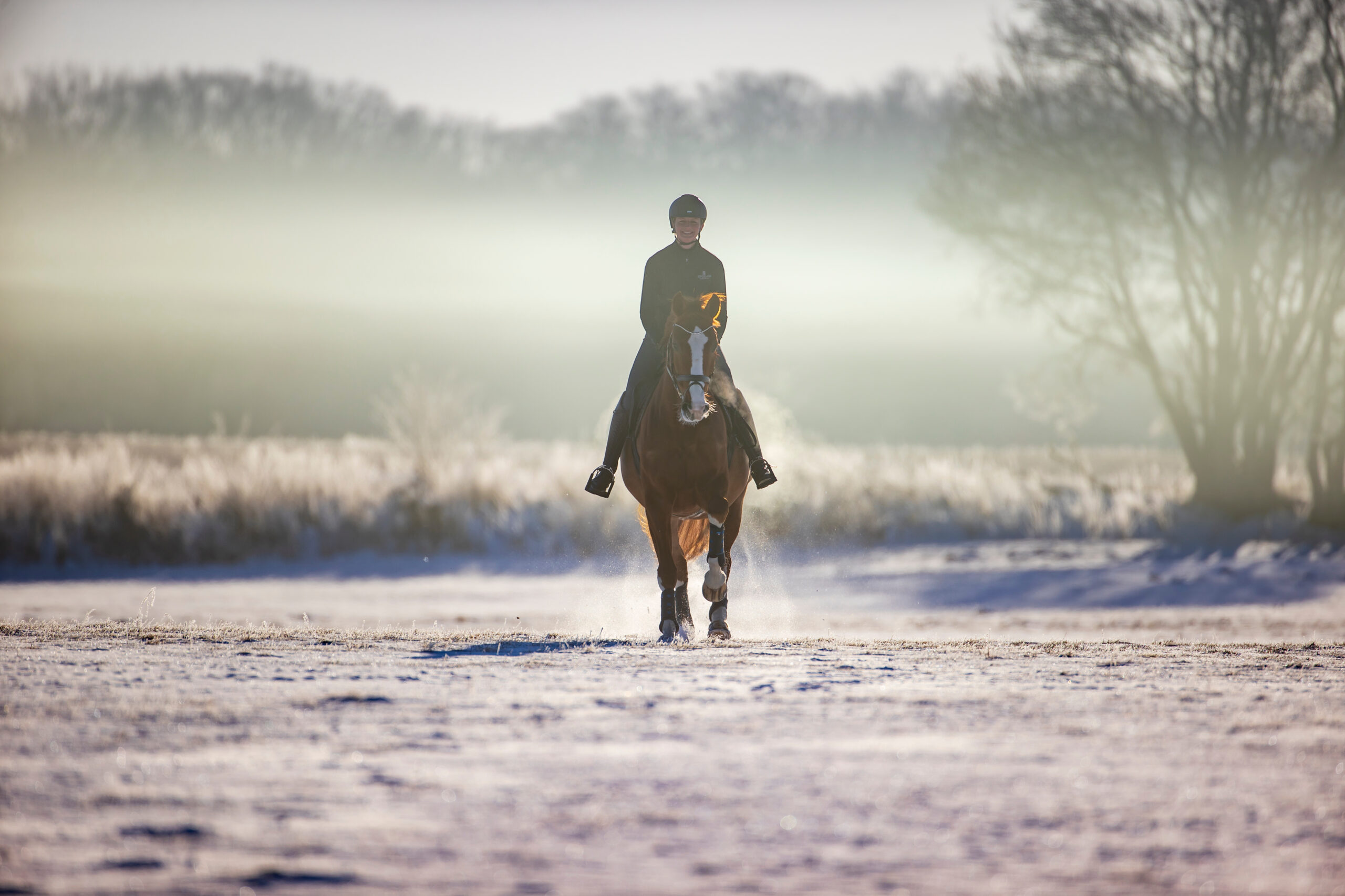 Fütterung und Pflege im Fellwechsel
