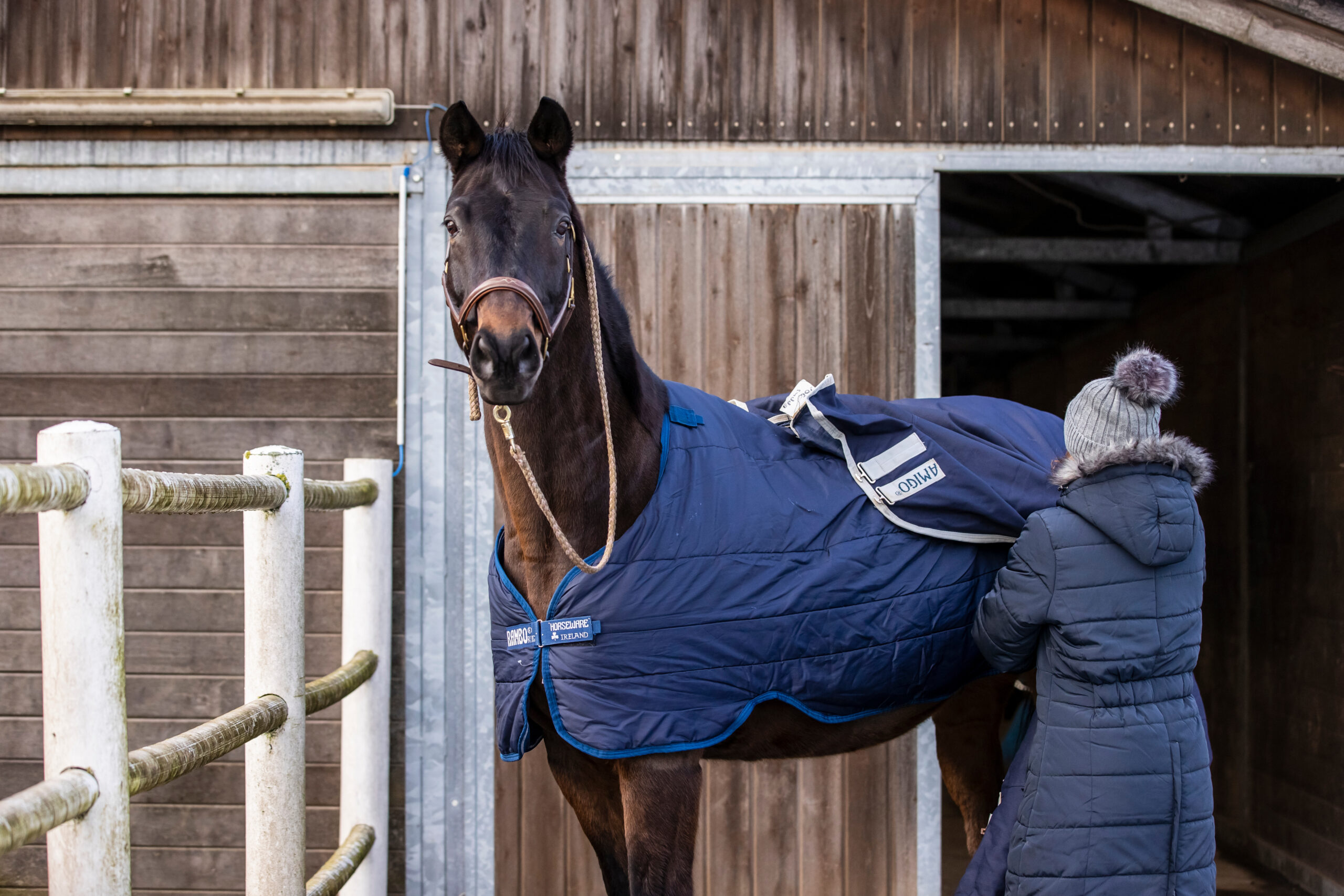 Fellwechsel beim Pferd: Was Licht, Wetter und Eindecken bewirken
