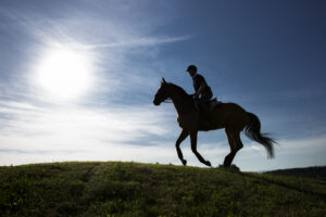 Sam – Abschied von einer Legende