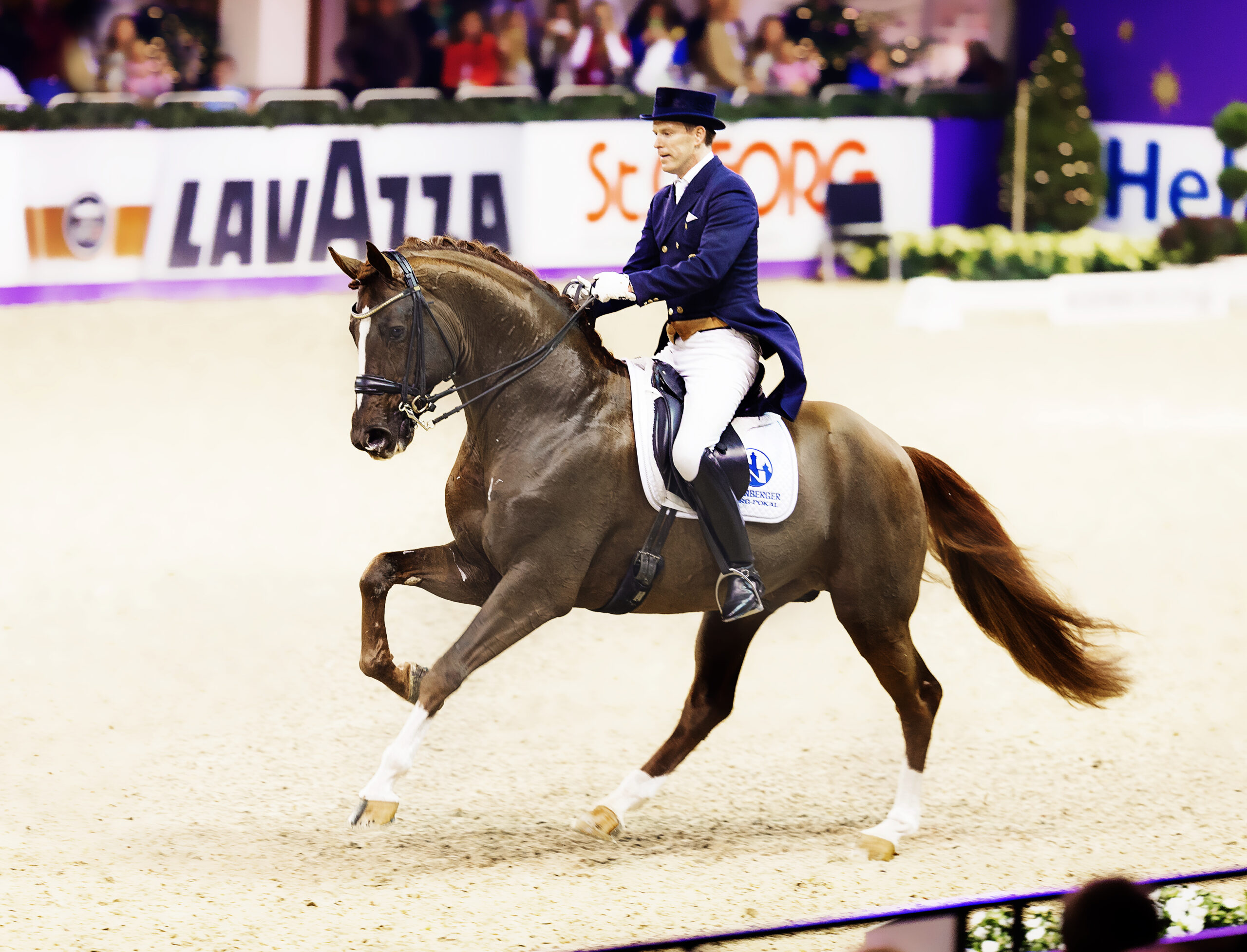 Prominenter Neuzugang in Marbach