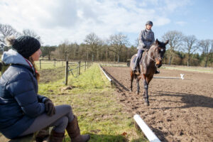 Ein Jahr FN-Initiative „100 Schulpferde plus“ – die Zwischenbilanz