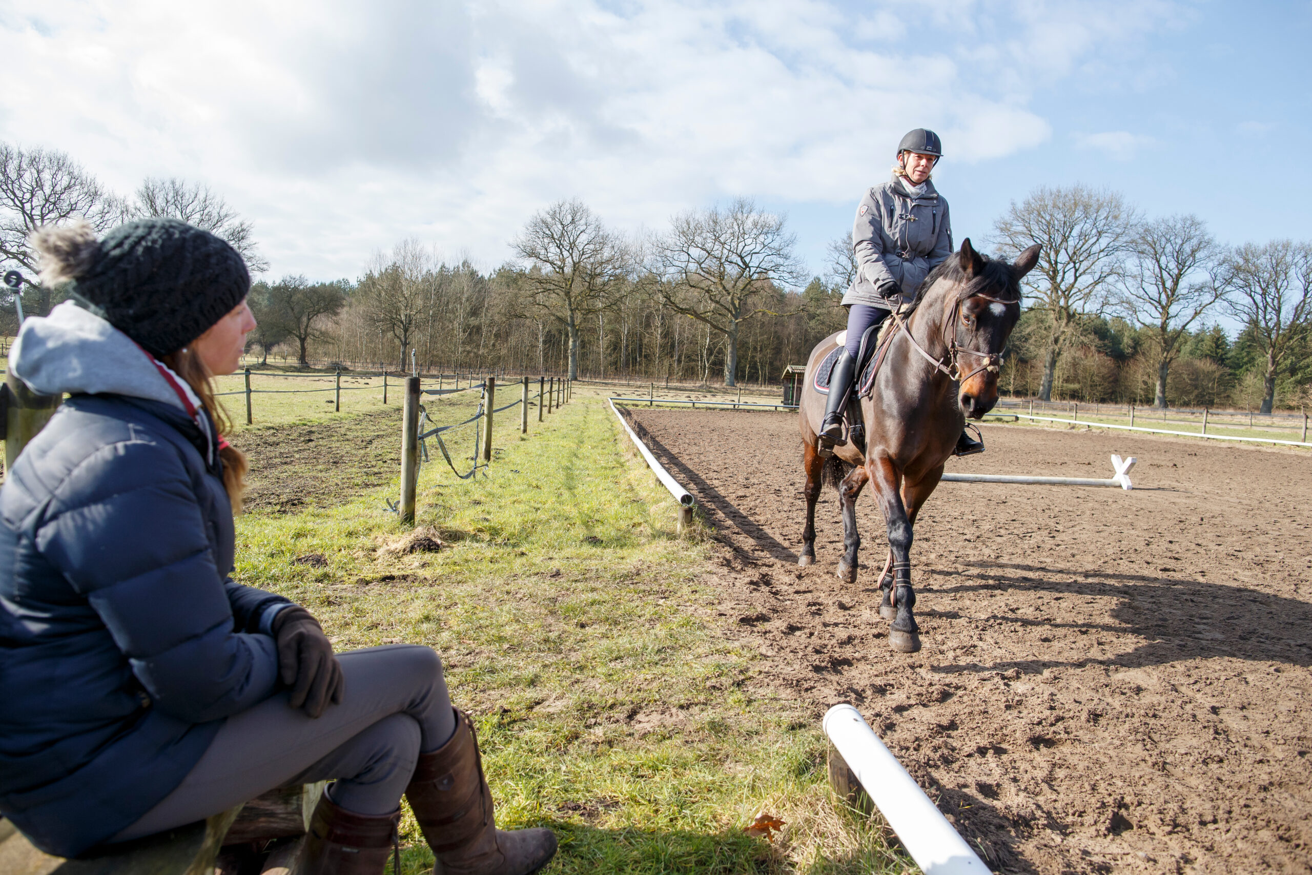 Ein Jahr FN-Initiative „100 Schulpferde plus“ – die Zwischenbilanz