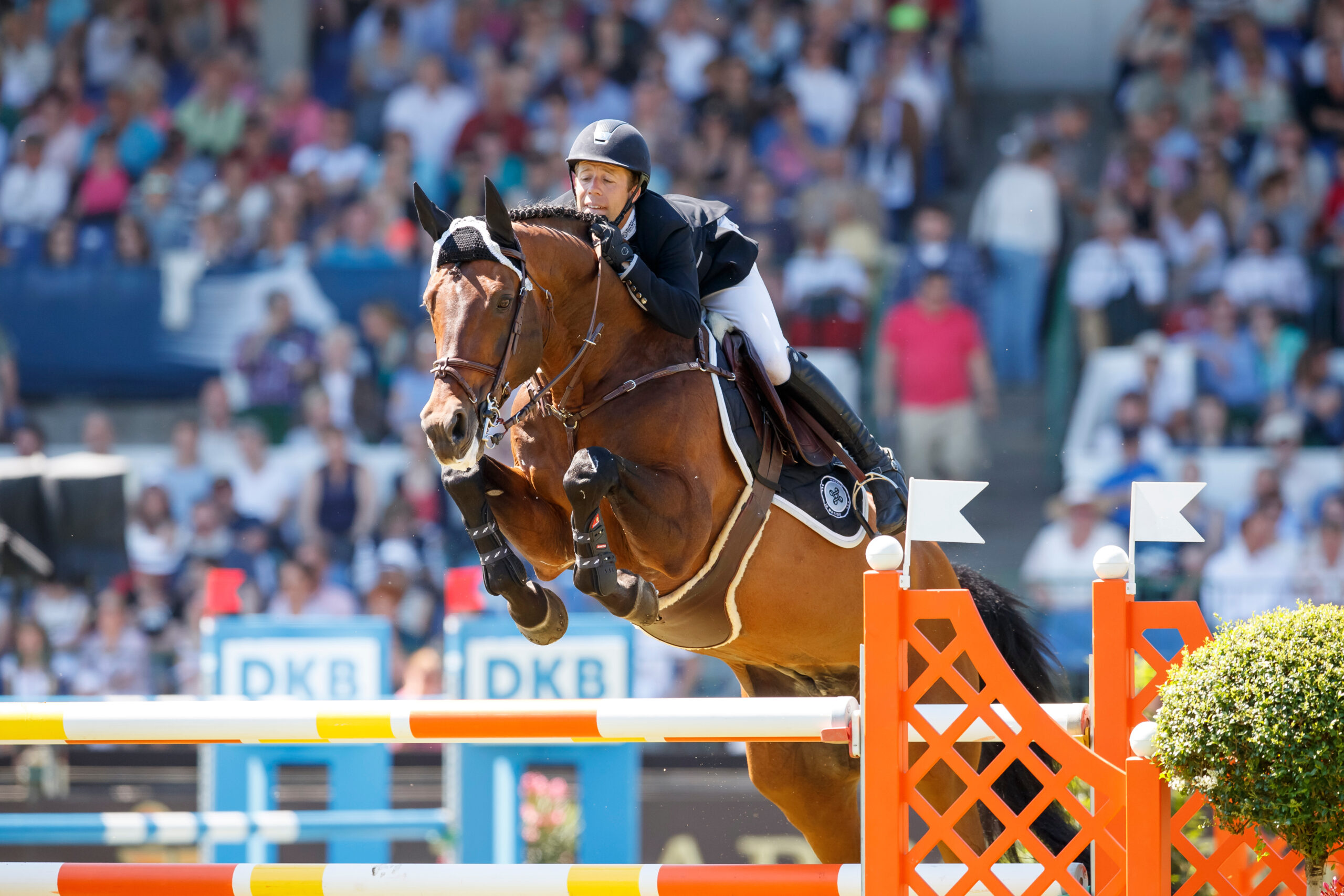 Karrierezeit und Leistung: Die erfolgreichsten Springpferde der letzten Jahre