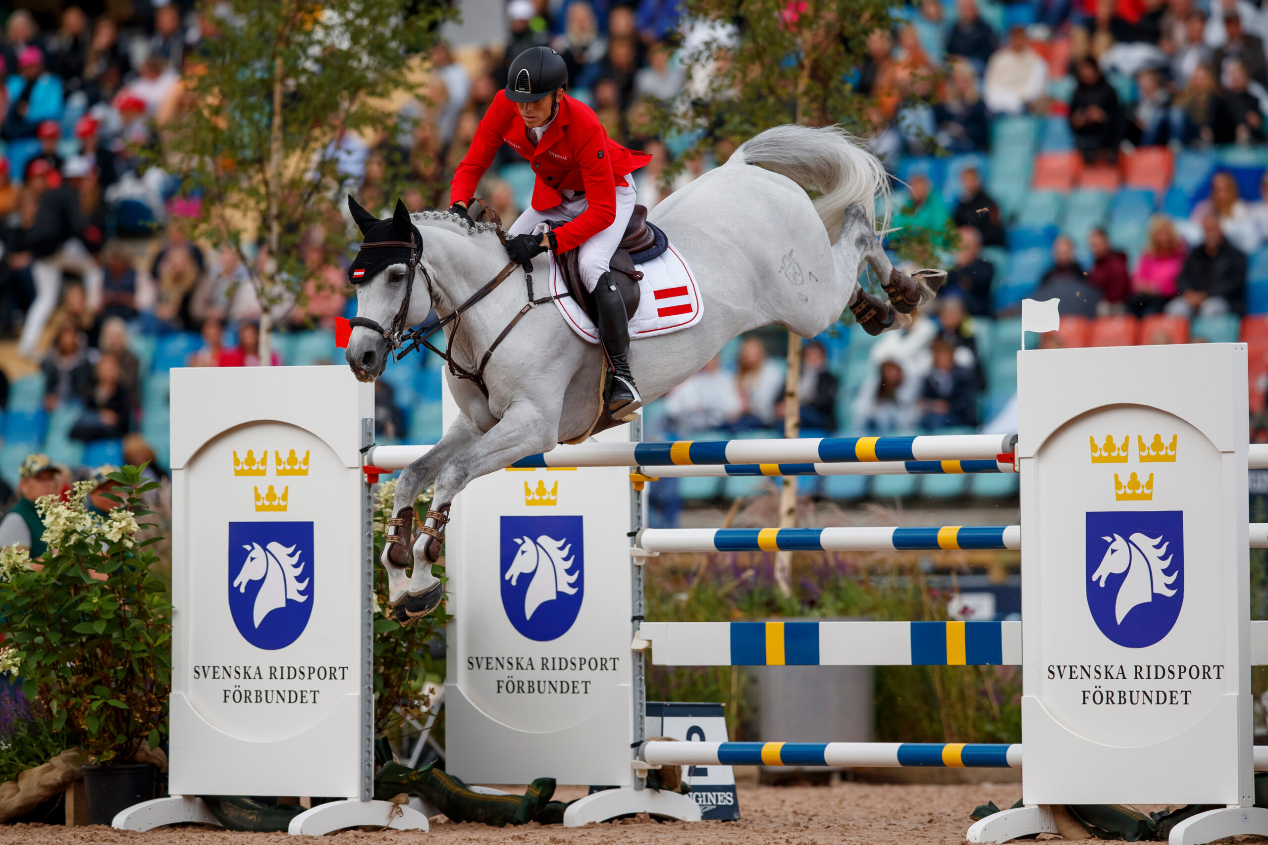Max Kühners WM-Star Chardonnay deckt 2026 in Frankreich