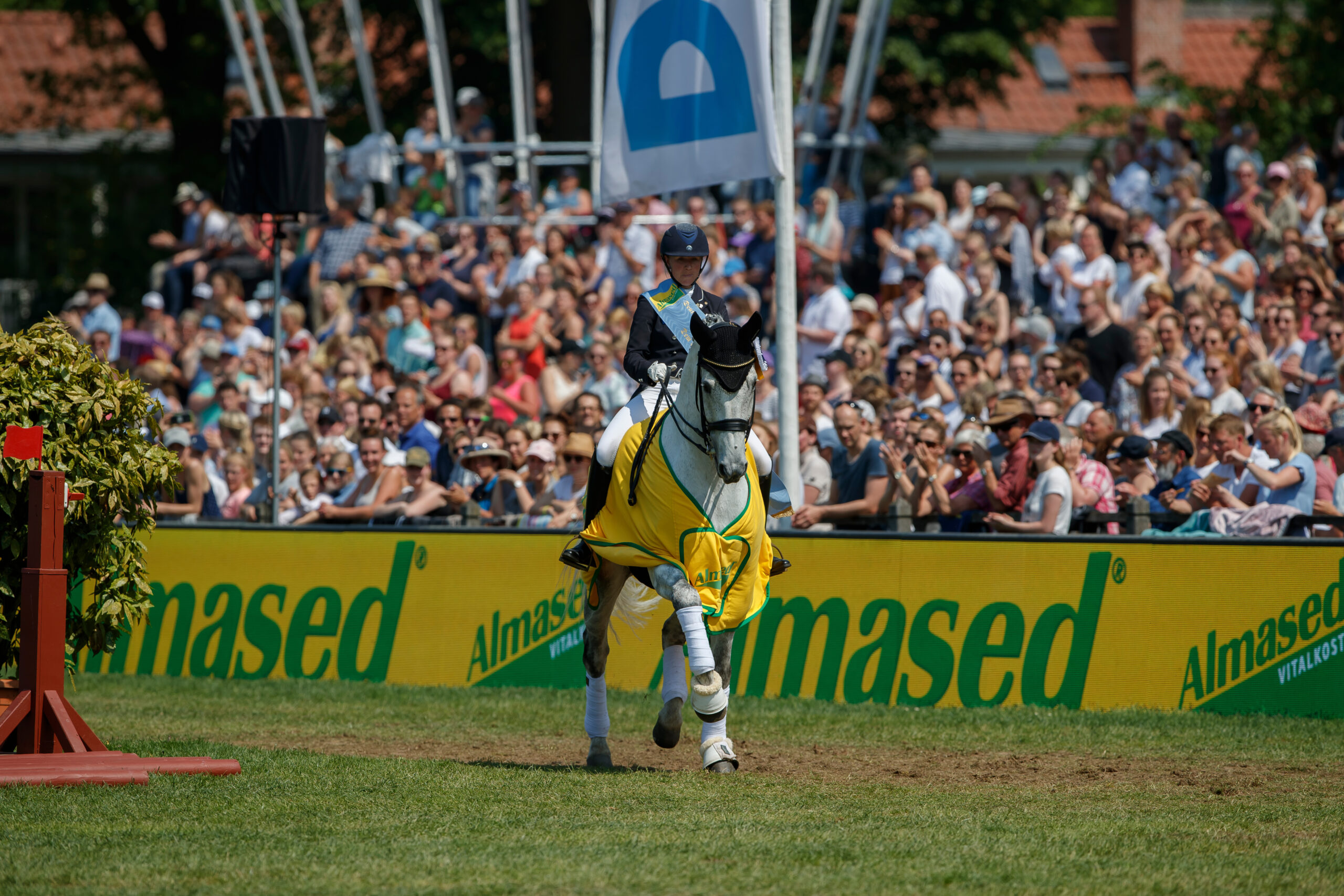 Dressur-Derby künftig ohne Pferdewechsel
