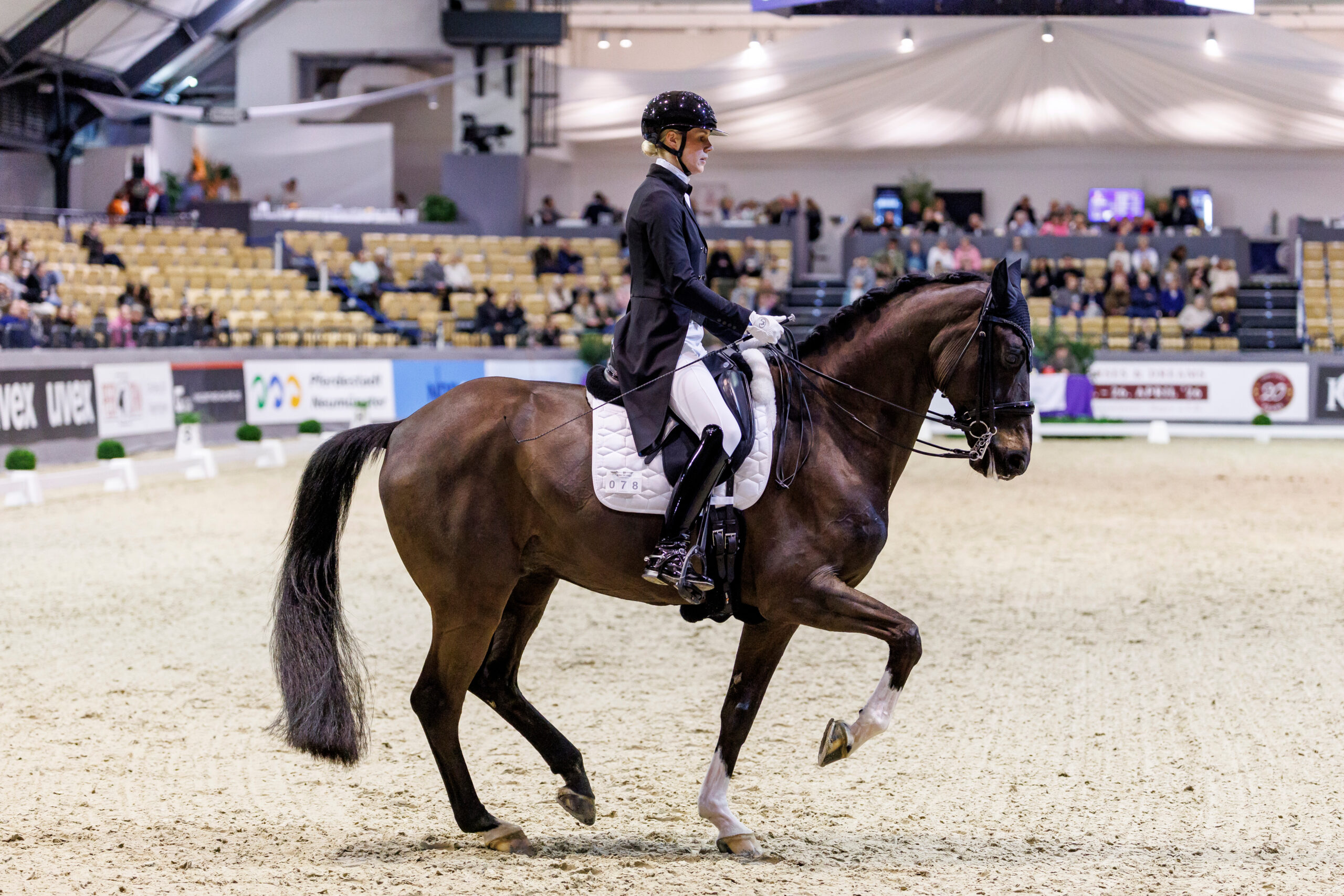 Juliane Brunkhorst und Diamante Negro – das Beste kommt zum Schluss