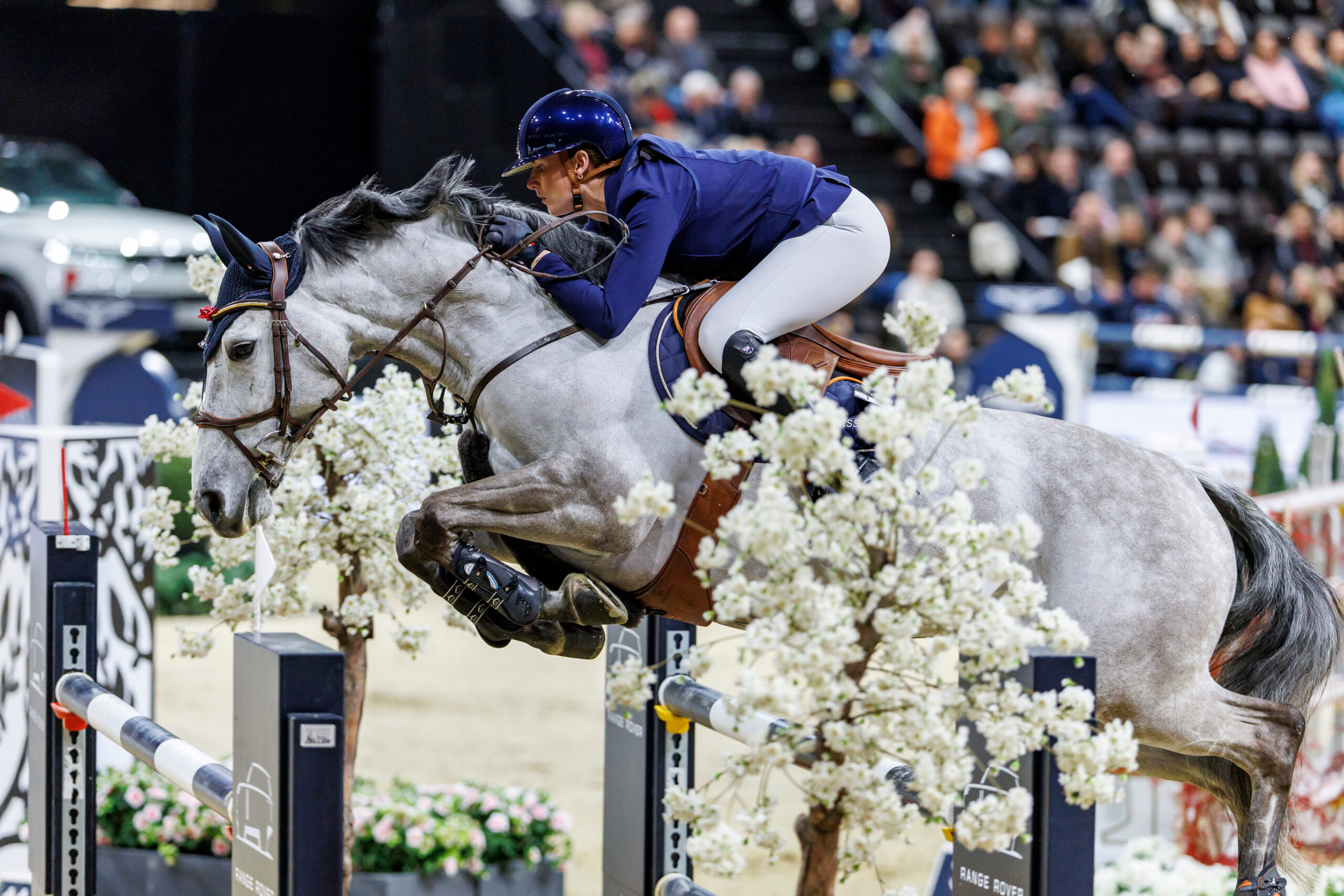 Dream team: Jessica Burke and Good Star du Bary. Photo: Sportfotos-lafrentz.de 