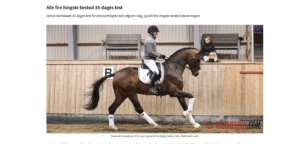 Test bestanden – vier neue Hengste fürs Dänische Warmblut